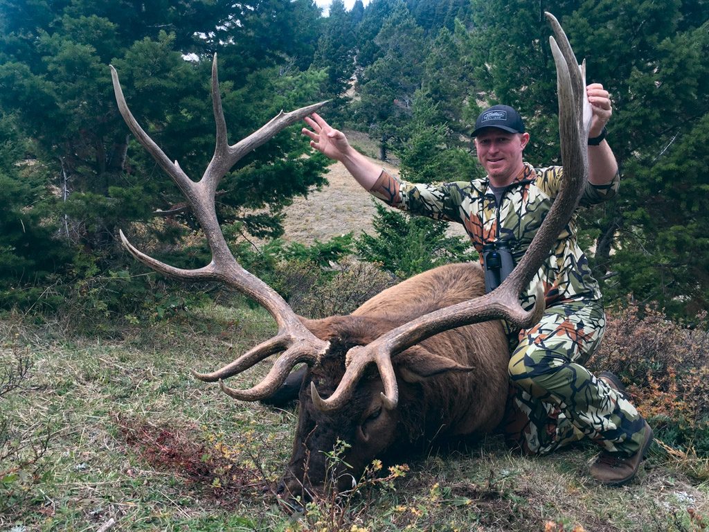 Hammer 'Em Outfitters Montana Hunting Elk and Deer 1