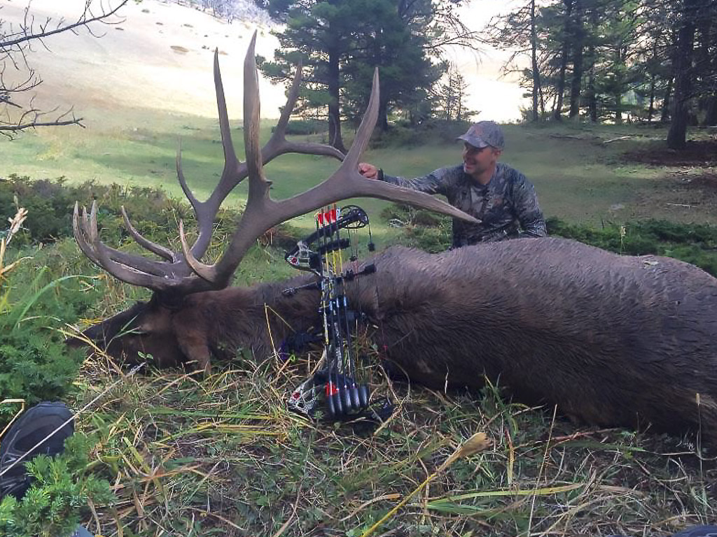 Hammer 'Em Outfitters Montana Hunting Elk and Deer 4
