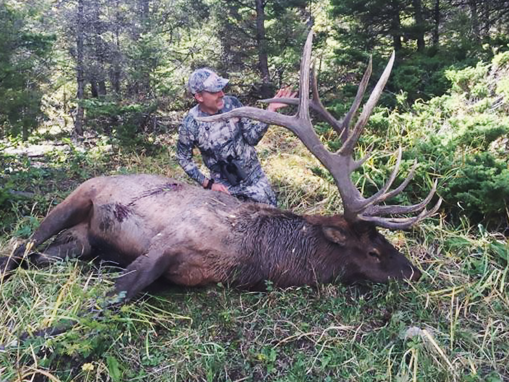 Hammer 'Em Outfitters Montana Hunting Elk and Deer 5