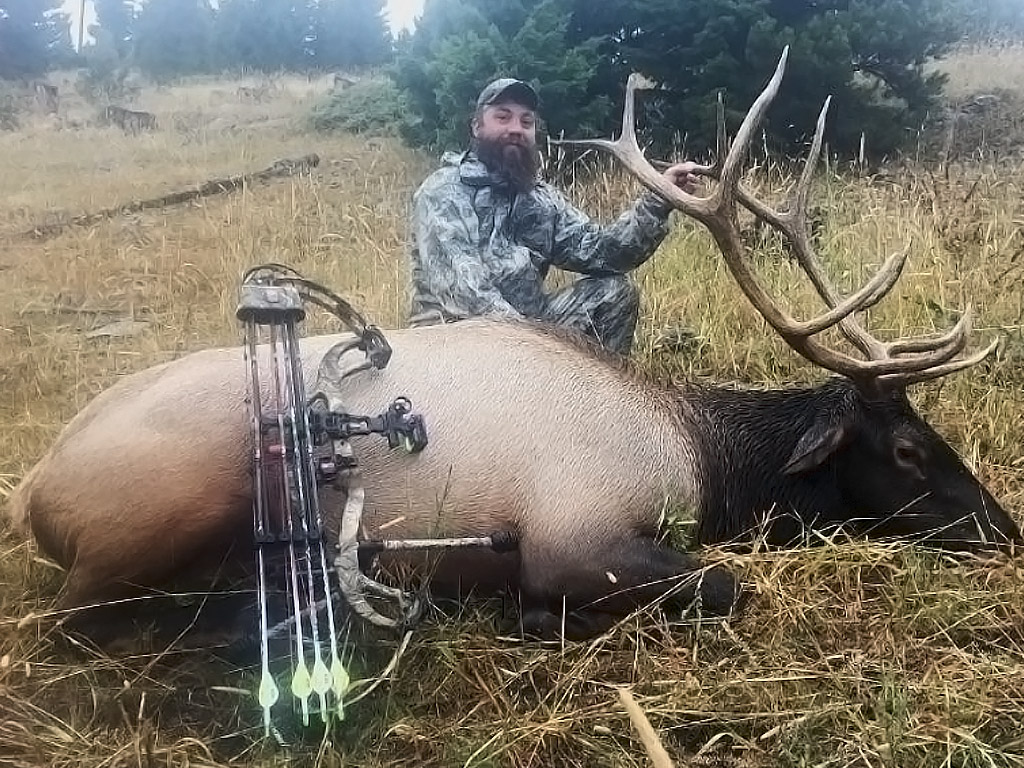 Hammer 'Em Outfitters Montana Hunting Elk and Deer 6