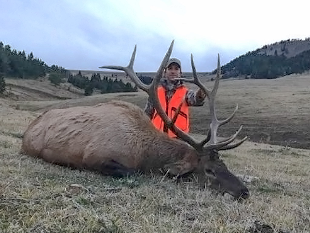 Hammer 'Em Outfitters Montana Hunting Elk and Deer 8