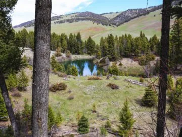 Hammer 'Em Outfitters Montana Hunting - Spring Basin Emerald Pond