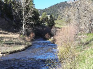 Hammer 'Em Outfitters Montana Hunting - Hunting Grounds 1