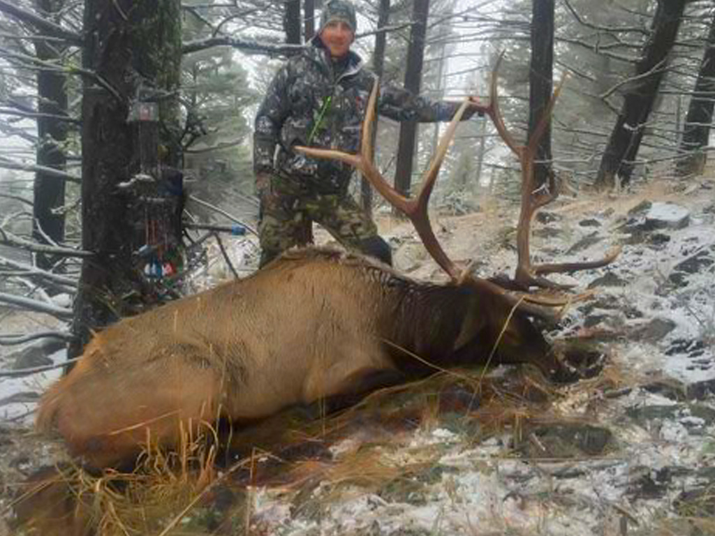 Hammer 'Em Outfitters Montana Hunting Elk and Deer 2016