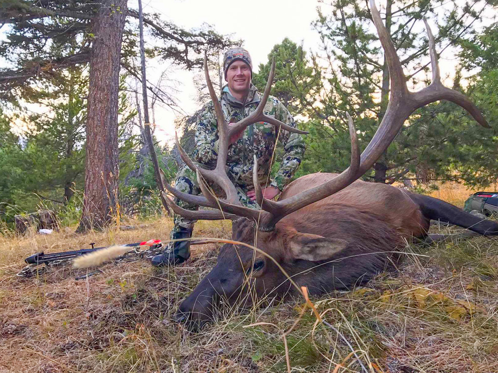 Hammer 'Em Outfitters Montana Hunting Elk and Deer 2017