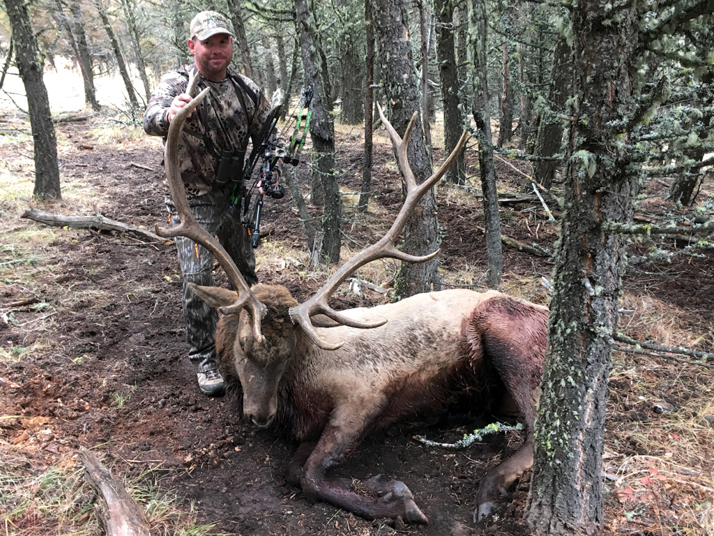 Hammer 'Em Outfitters Montana Hunting - 2018 Elk 26