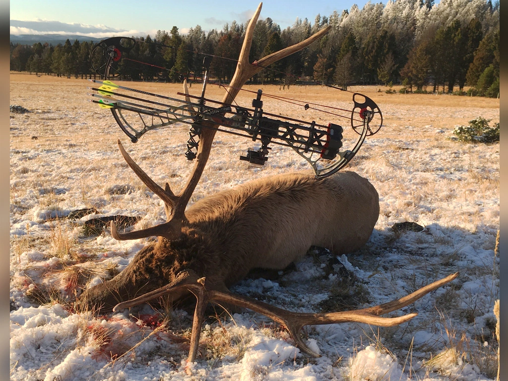 Hammer 'Em Outfitters Montana Hunting - 2018 Elk 27