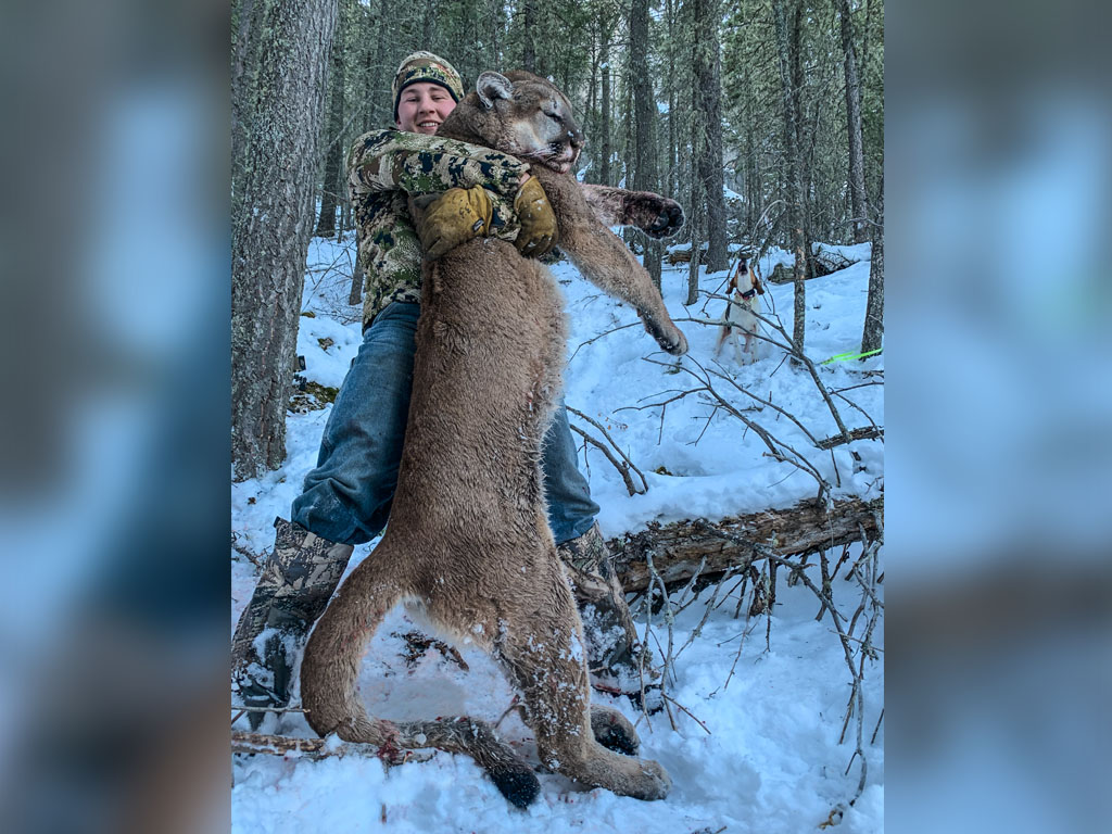 Hammer 'Em Outfitters Montana Hunting - 2019 Mountain Lion 2