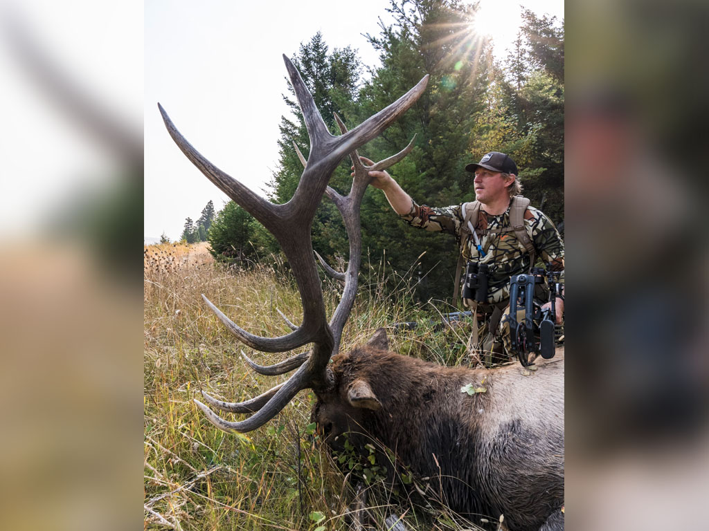 Hammer 'Em Outfitters Montana Hunting - 2020 Elk 9