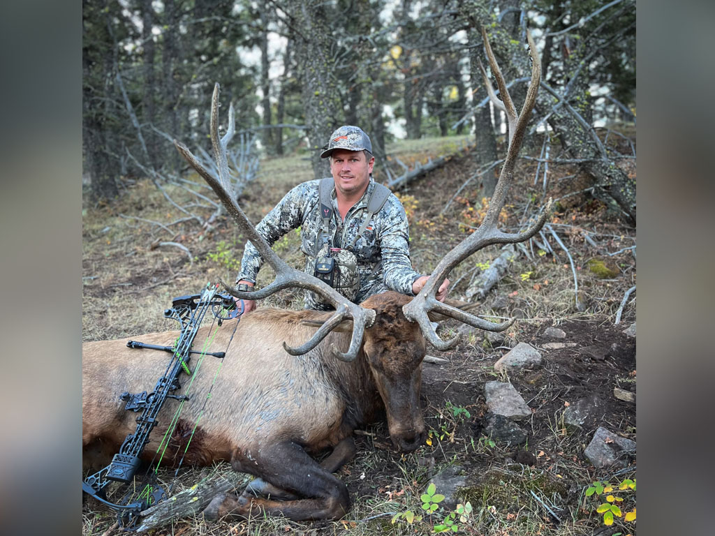 Hammer 'Em Outfitters Montana Hunting - 2022 Elk 12