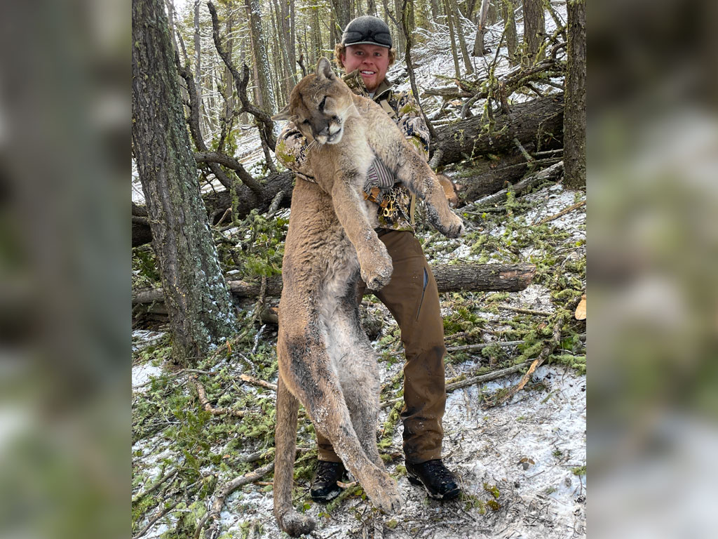 Hammer 'Em Outfitters Montana Hunting - 2022 Mountain Lion 02
