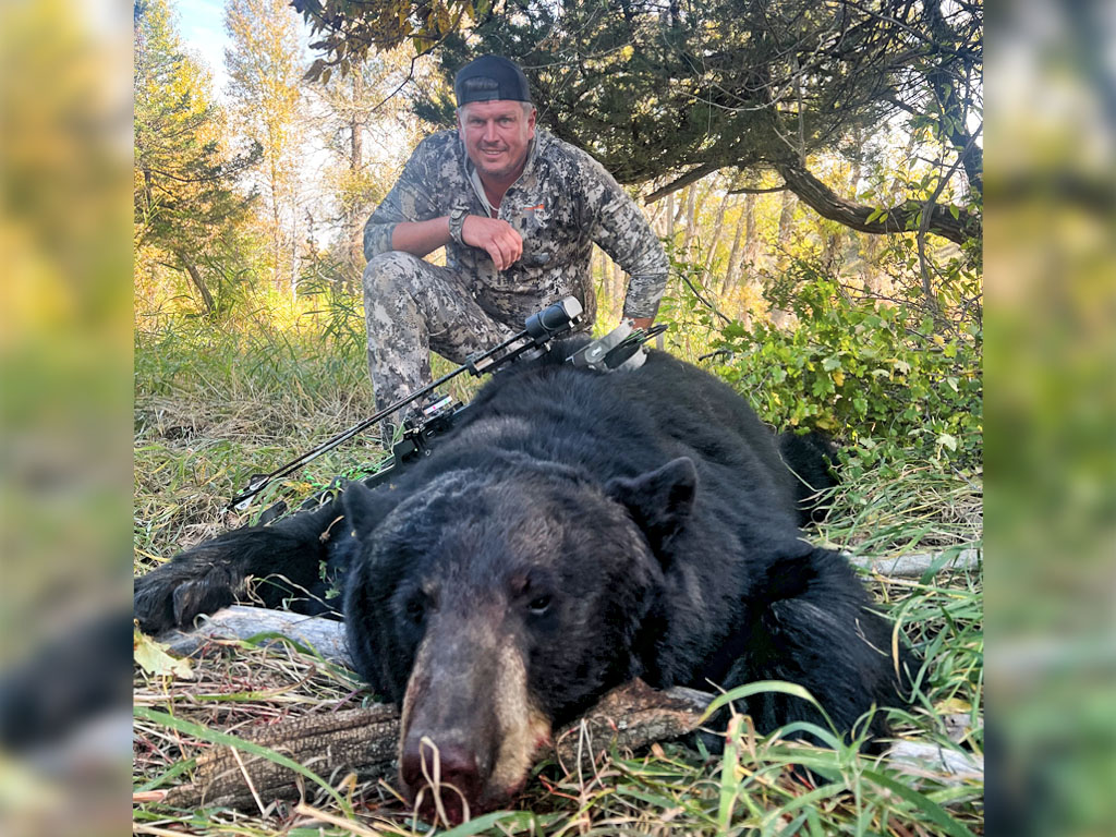 Hammer 'Em Outfitters Montana Hunting - 2023 Bear 01