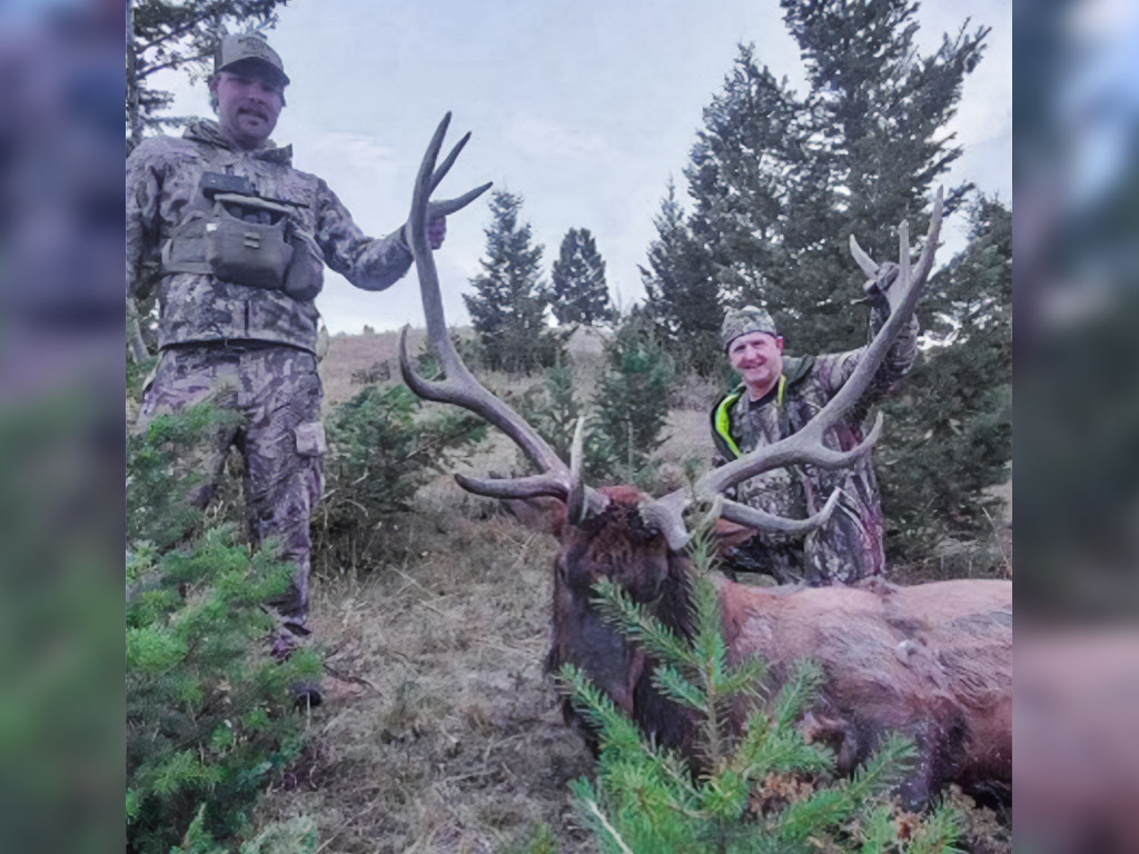 Hammer 'Em Outfitters Montana Hunting - 2023 Elk 29